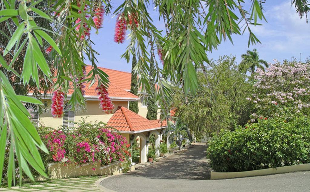 Polkerris Bed & Breakfast Montego Bay Exterior foto
