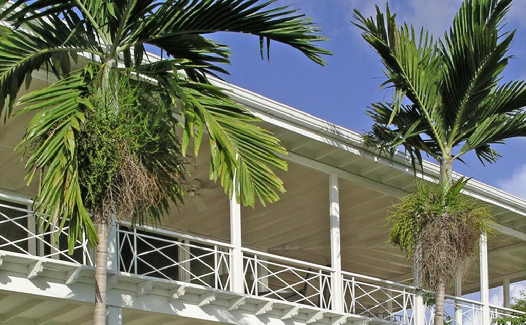 Polkerris Bed & Breakfast Montego Bay Exterior foto